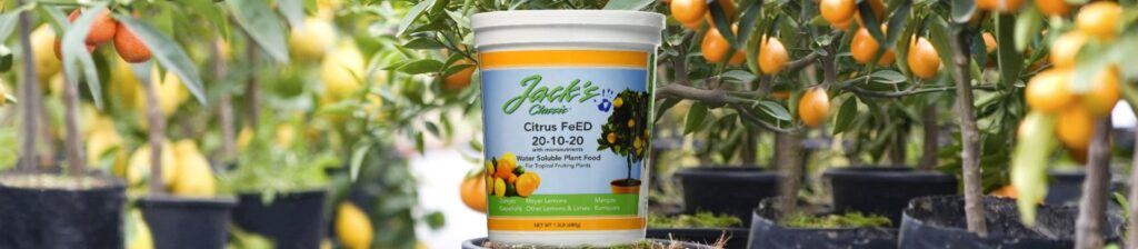 5 Best Fertilizers for Citrus Trees to Grow Healthy and Delicious Fruits (Winter 2023)