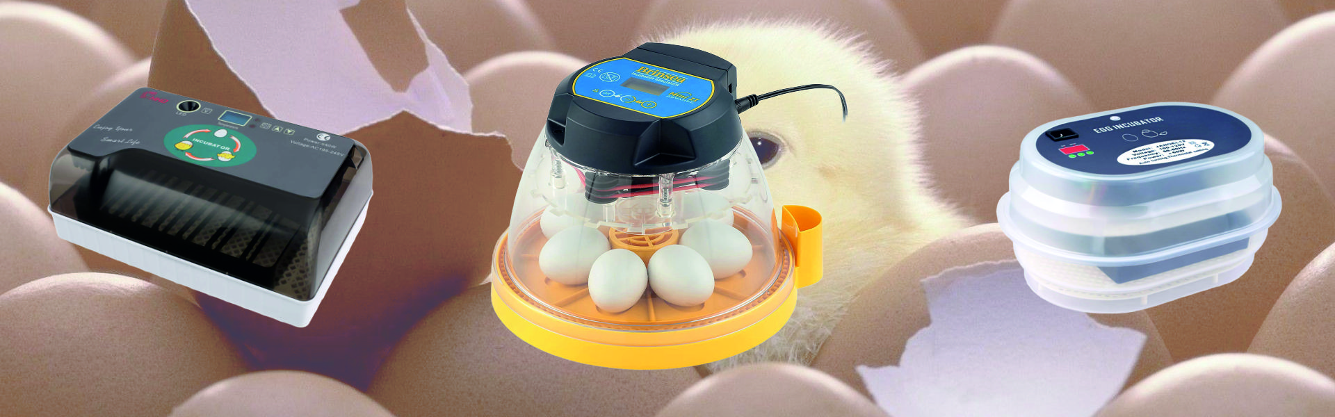 5 Best Egg Incubators for Hatching Chickens, Ducks or Some Exotic Birds (Winter 2023)