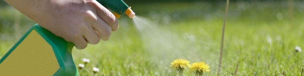 12 Best Weed Killers for Lawns - Just Grass And Nothing Else! (Winter 2023)