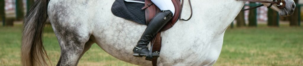 8 Best Dressage Boots – Proper Equipment to Enjoy Horseriding! (Winter 2023)