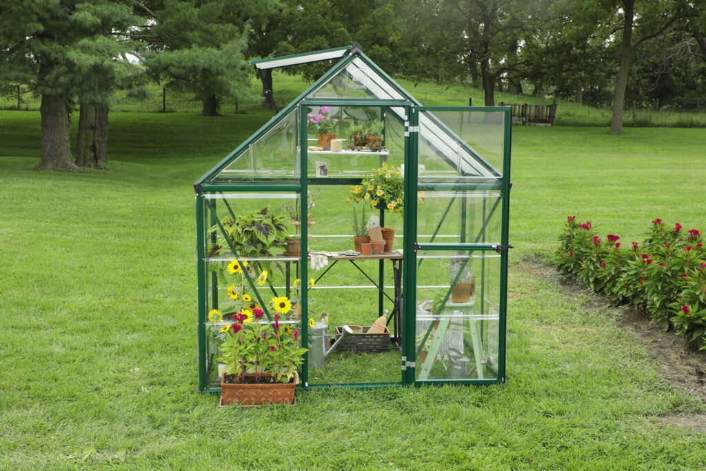12 Best Small Greenhouses - All That Your Plants Need! (Winter 2023)