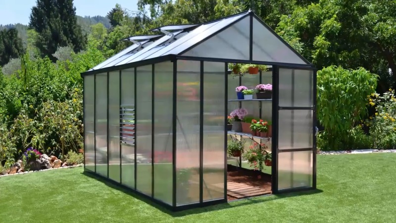 Palram Glory Greenhouse Review: Healthy Plant Growth in All Weathers (Winter 2023)