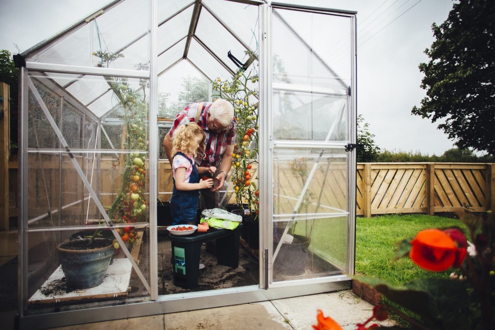 Greenhouse Sizes: How to Choose It Right?